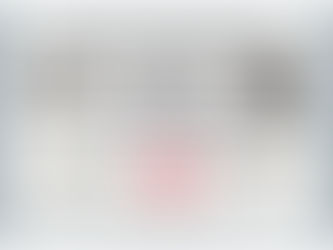 Mr. Jeevantha B. Kariyawasam was promoted to the title of Shihan and 6th Dan ( Rokudan ) in All Style Karate.