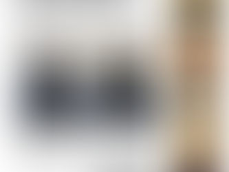 HOSOKAWA RYU - THE NEW SAMURAI