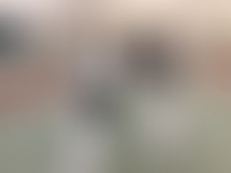 Japanese Kick Boxing training on equipment. Boxing pads, Thai Pads (Pao) torso protector.