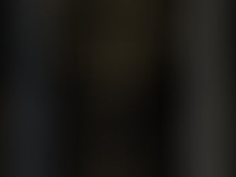 Hosokawa Clan Katana.