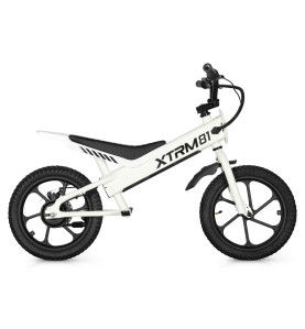 Miniature : Draisienne électrique pour enfant 36V 350W DX 16