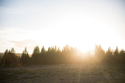 Martis Valley landscapes-55.jpg