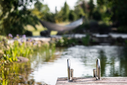 Fotografie eines Ferienhauses - Schwimmteich auf dem Hofgut Mollberg im Ammerland