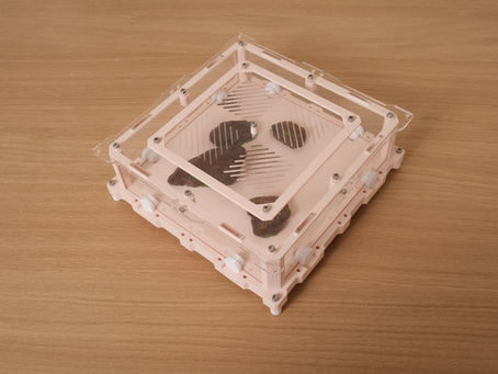 Aire de chasse fourmis 20x20