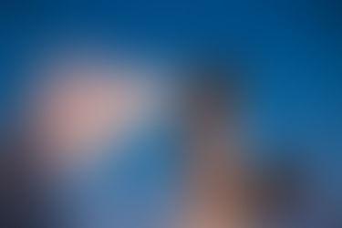 Casamento - Priscila + Rogério