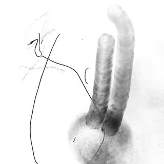 Unbenanntes_Projekt 4.jpg