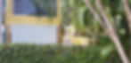 imagejpeg_0 2