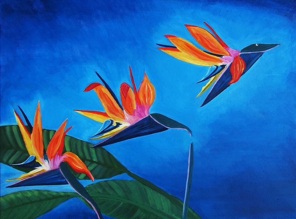 Bird of Paradise