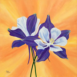 Pair of Columbines