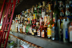 DSC00497.jpg