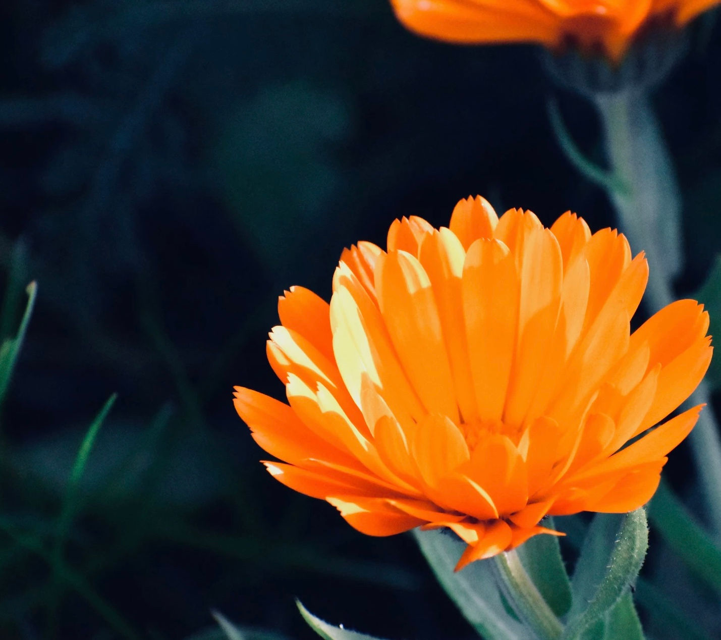 The Big Chill Rollerball