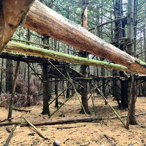 The Siren of Silence