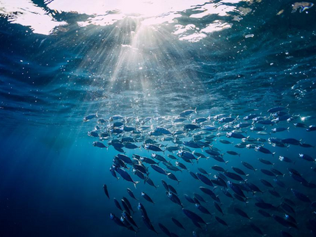 Swimming: The Bless of A Childhood Nightmare