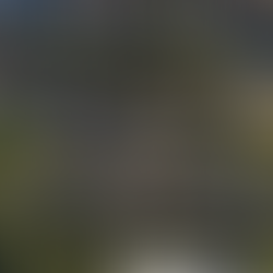 Exploring Feng Menglong Academy