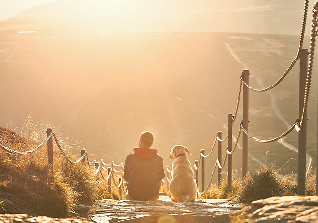 man-together-with-his-dog-sitting-on-pathway-at-sunset-view-from-krkokonse-mountains-czech-republic_