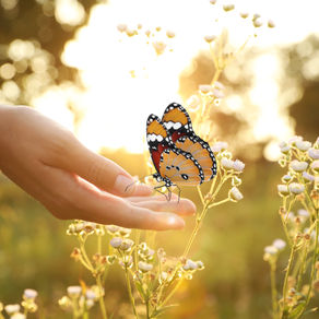 Spring Awakening: Coming Back to Life