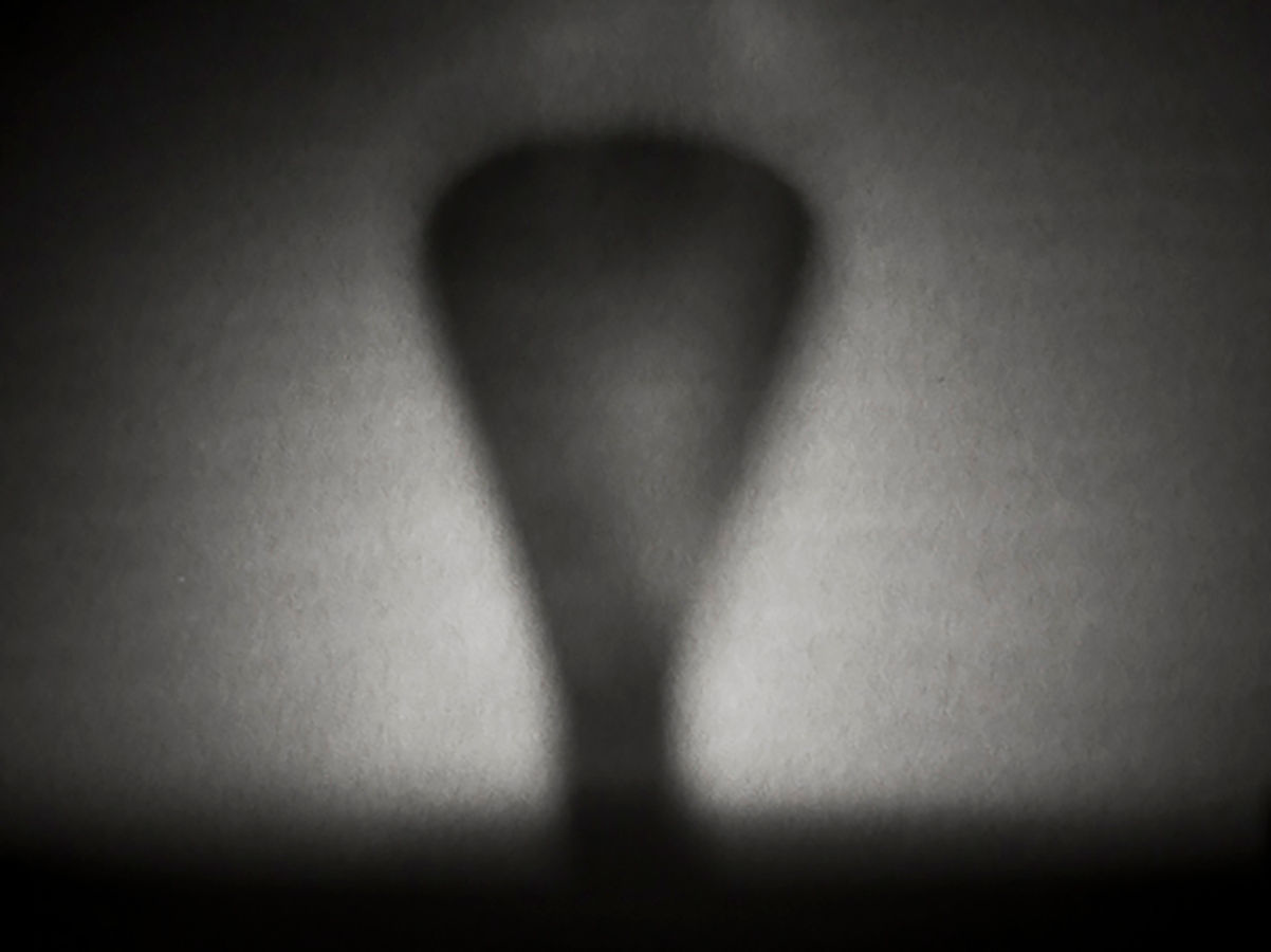 La vista renuncia 33