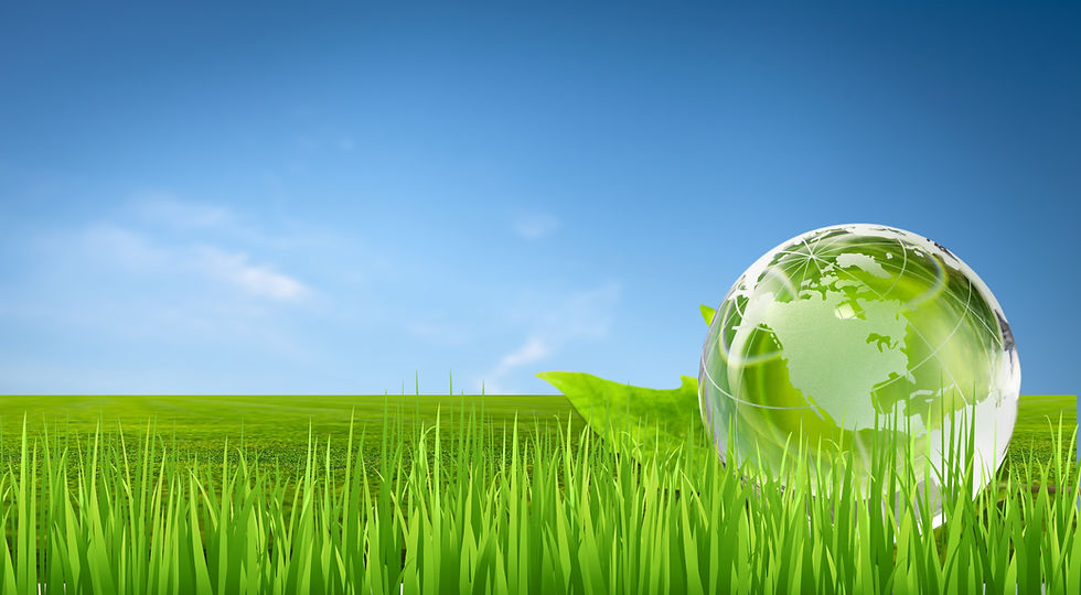 Earth globe on the grass. Save the nature. Enviroment. Earth day theme. Elements of this i