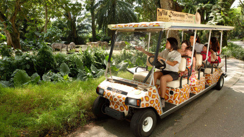 Thumbnail: 2-Way Ferry Ticket with Singapore AttractionE-ticket(One day pass)