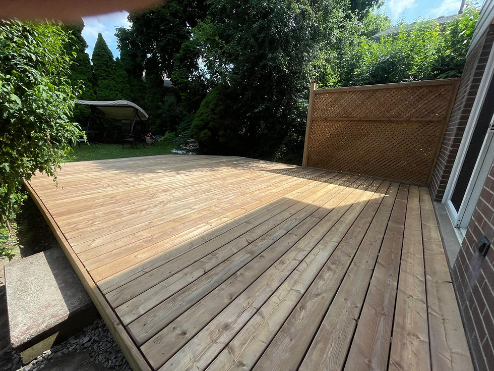 Deck and Privacy Fence
