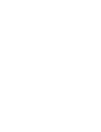 cruelty free