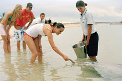 Custom Australia Vacation | GeoLuxe | people looking at ocean life