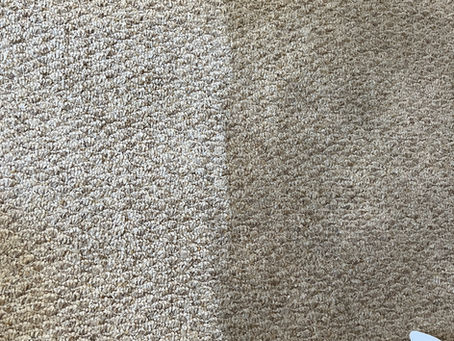 Carpet in a Lethbridge home showing the difference professional cleaning makes and signs it's time for professional cleaning