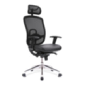 Liberty - High Back Mesh Executive Armchair with Adjustable Headrest