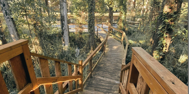 Pathway to dock