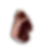 Ceremonial grade cacao mass