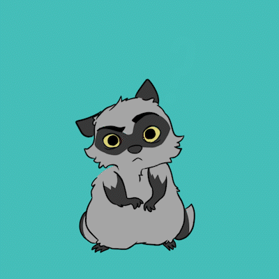 Racoon_Confused_AdobeCreativeCloudExpress copy.gif