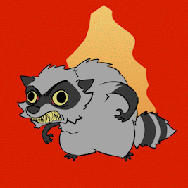 Raccoon_Angry_AdobeCreativeCloudExpress.gif