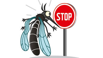 Action moustique tigre 2021.