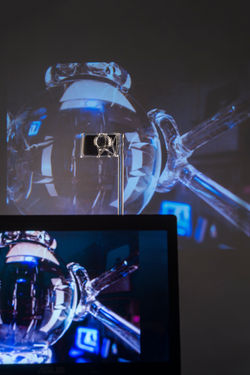 Perceiver of Perception - Detail