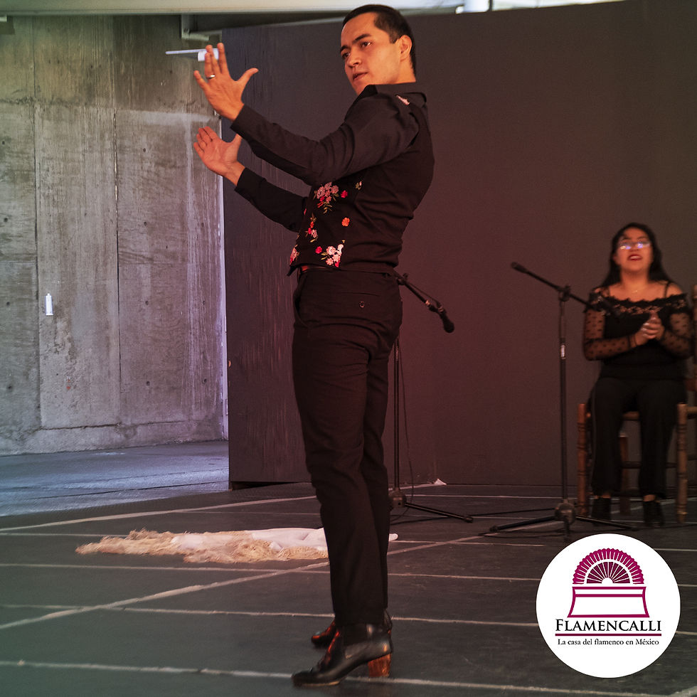 Brandon Lugo Baile flamenco
