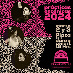 instagram 2024 practucas-01.jpg