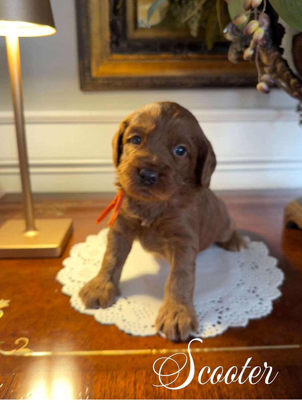 Bazaart_B7FDBC80-6D11-446F-8D13-2FC80C59317F