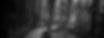 rory-garforth-wildwood-path_u-l-pz04k30_edited.jpg