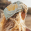 Thumbnail: Hazel Bandana