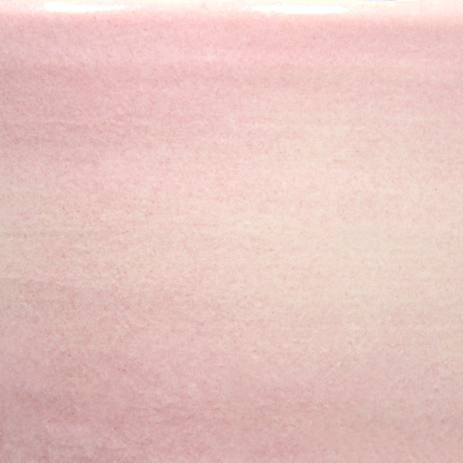 2102 Blushing White, Pint