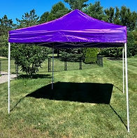 Purpletentyardalone_edited.jpg