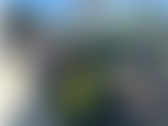 The Addison on Amelia Island Wins Fernandina Beach Main Street's 3rd Quarter Curb Appeal Award 