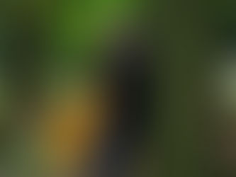 加治良浩トーク&ライブ