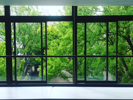 新緑@スタジオラインズ