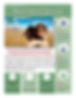Woof+Street+Journal-+Hip+and+Joint+Newsletter Page 001.jpg