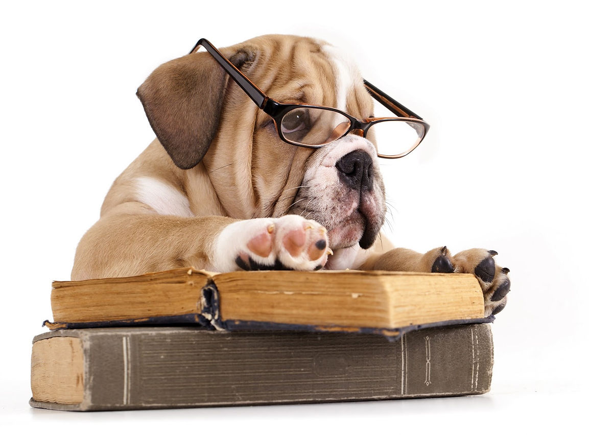 Fields' Folly English Bulldog Breeder Documents & Links