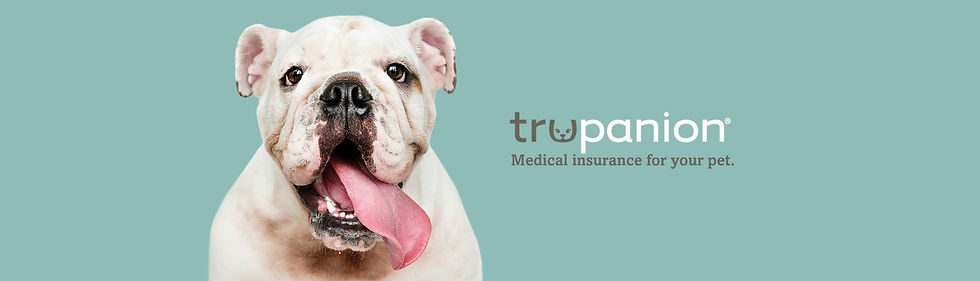 Pet Insurance Trupanion Fields Folly