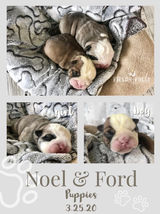 Puppy Birth Announcement