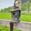 Thumbnail: Custom Antique Saw Birdhouse - Teal
