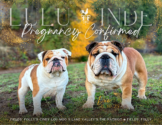 Copy of Lulu x Inde Breeding.png